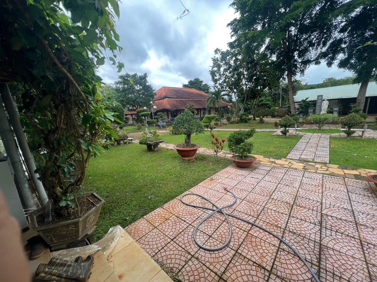 Chụp hình xong thì đi tưới cây