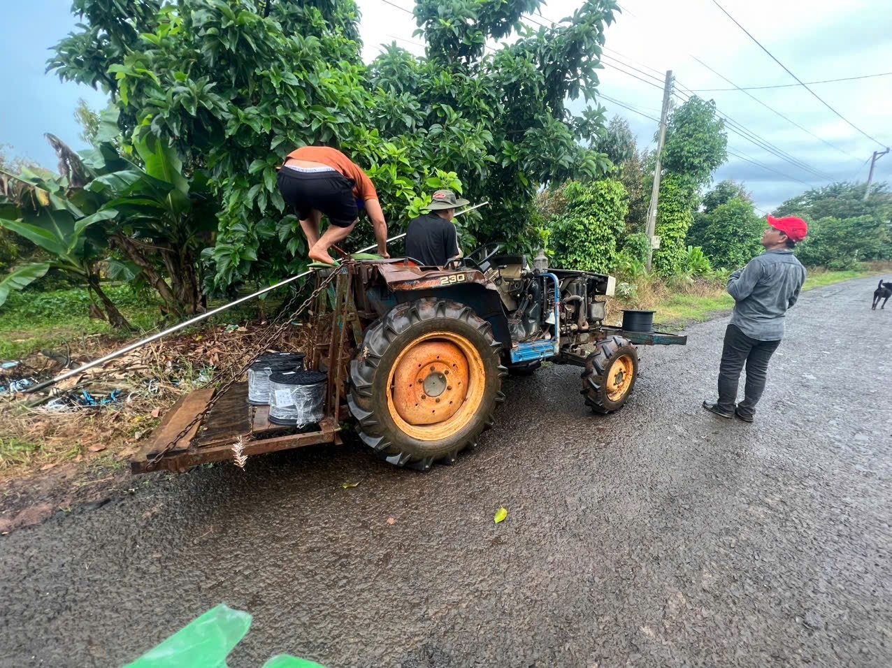 Trên đường đi chụp đại