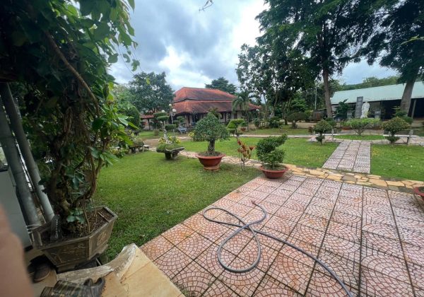Chụp hình xong thì đi tưới cây